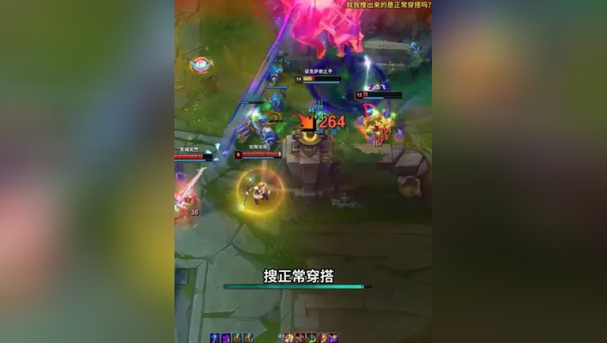 管家婆资料大全免费,在西湖看到了刘亦菲同款黄玫瑰,公开决策资料解释落实_扩展版V10.85