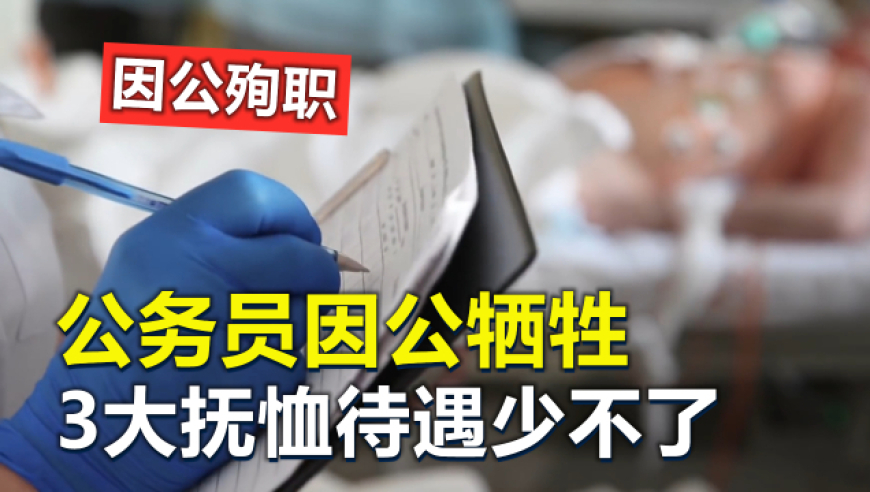123696澳门六下彩免费资料,北京银行行长杨书剑辞任,广泛的解释落实方法分析_高级版V15.85
